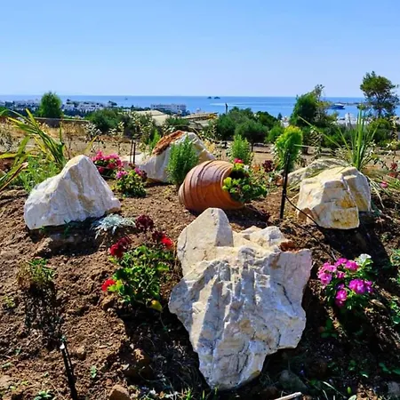 Апартаменты Aigaiou Avra Парос